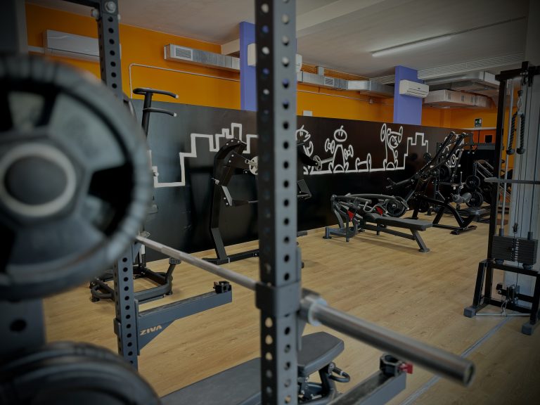 Palestra Pordenone Naonis Gym